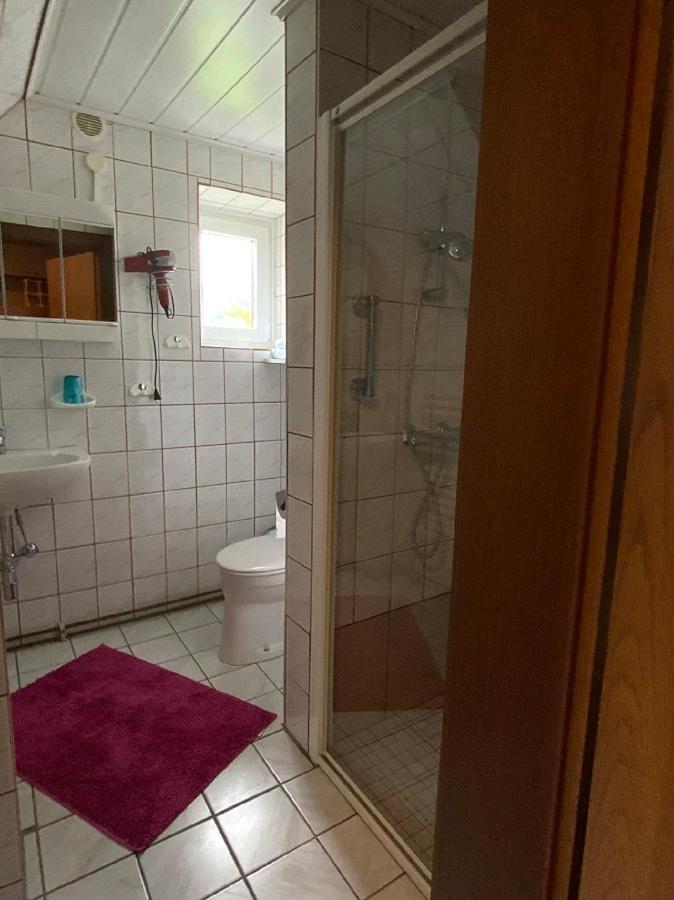 Chalet Dorfer Villa Sankt Lorenzen ob Murau Dış mekan fotoğraf